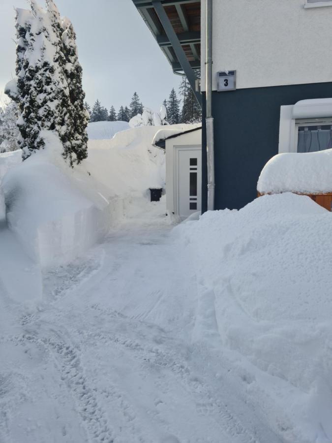 Apartment 's Stueble Schoenwald im Schwarzwald